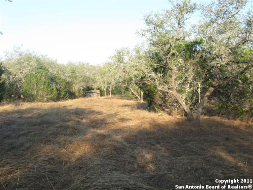 6865 Cr 251 , Hondo, TX, 78861 | 894152 | Realty Texas LLC