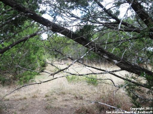 1399 Canyon Shores Dr. , Canyon Lake, TX, 78133 | 884272 | Realty Texas LLC