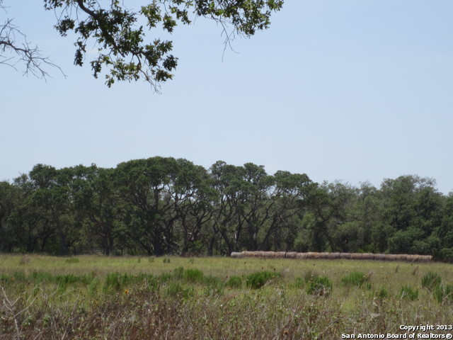 7153 St Hwy 123 N , Stockdale, TX, 78160 | 1013361 | Realty Texas LLC