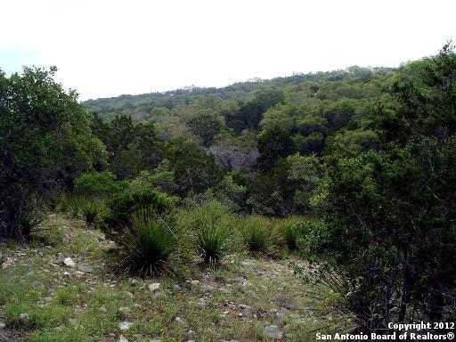 3726 Morris Lynn , San Antonio, TX, 78261 | 948082 | Realty Texas LLC