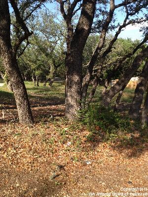 Lot 19 Sandstone Dr , San Antonio, TX, 78230 | 997351 | Realty Texas LLC