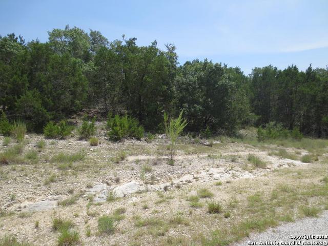 2394 Comal Springs , Canyon Lake, TX, 78133-6067 | 979651 | Realty Texas LLC