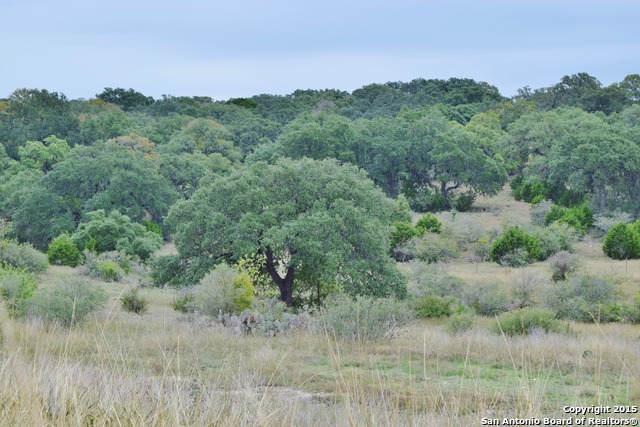 1372 Bordeaux Ln , New Braunfels, TX, 78132 | 1149432 | Realty Texas LLC