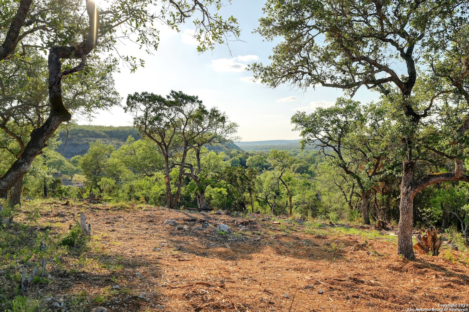 10700 Fm 306 , New Braunfels, TX, 78132 | 1679613 | Realty Texas LLC
