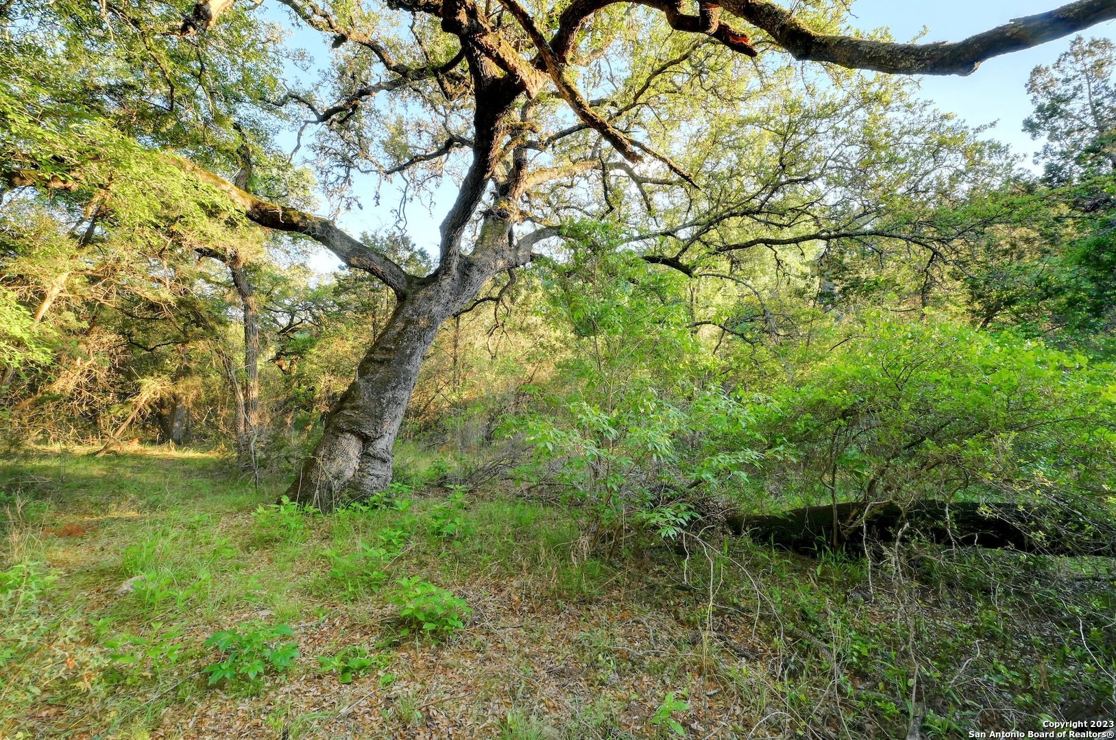 10700 Fm 306 , New Braunfels, TX, 78132 | 1679613 | Realty Texas LLC