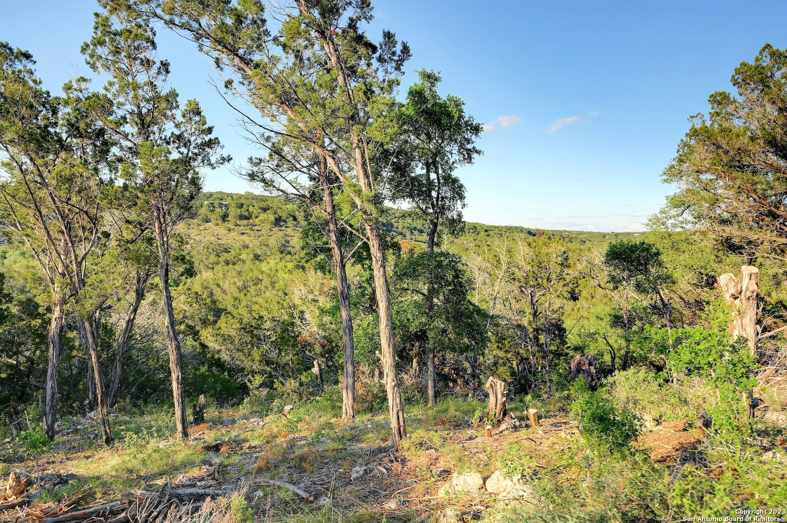 10700 Fm 306 , New Braunfels, TX, 78132 | 1679613 | Realty Texas LLC