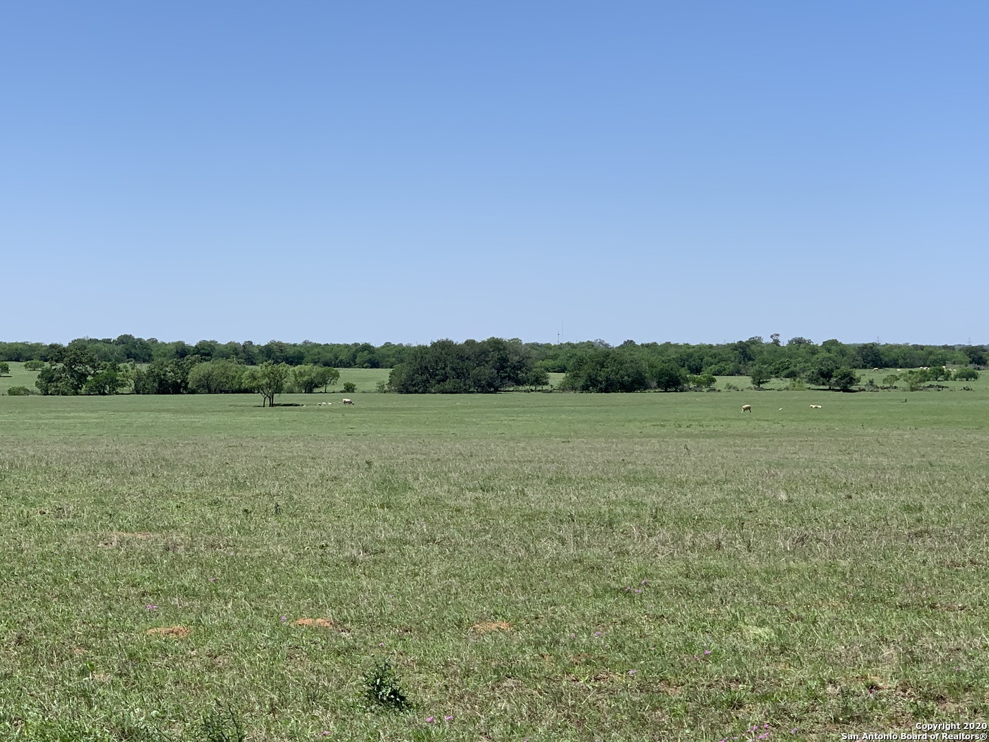 6306 Cr 405 , Floresville, TX, 78114 | 1750285 | Realty Texas LLC