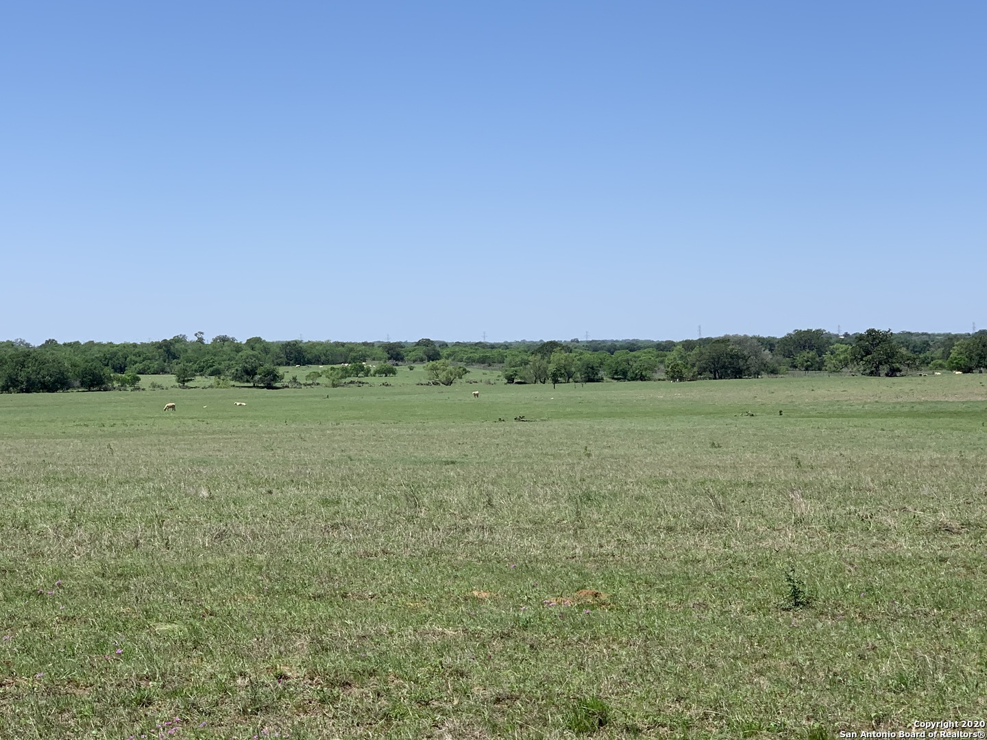 6306 Cr 405 , Floresville, TX, 78114 | 1750285 | Realty Texas LLC