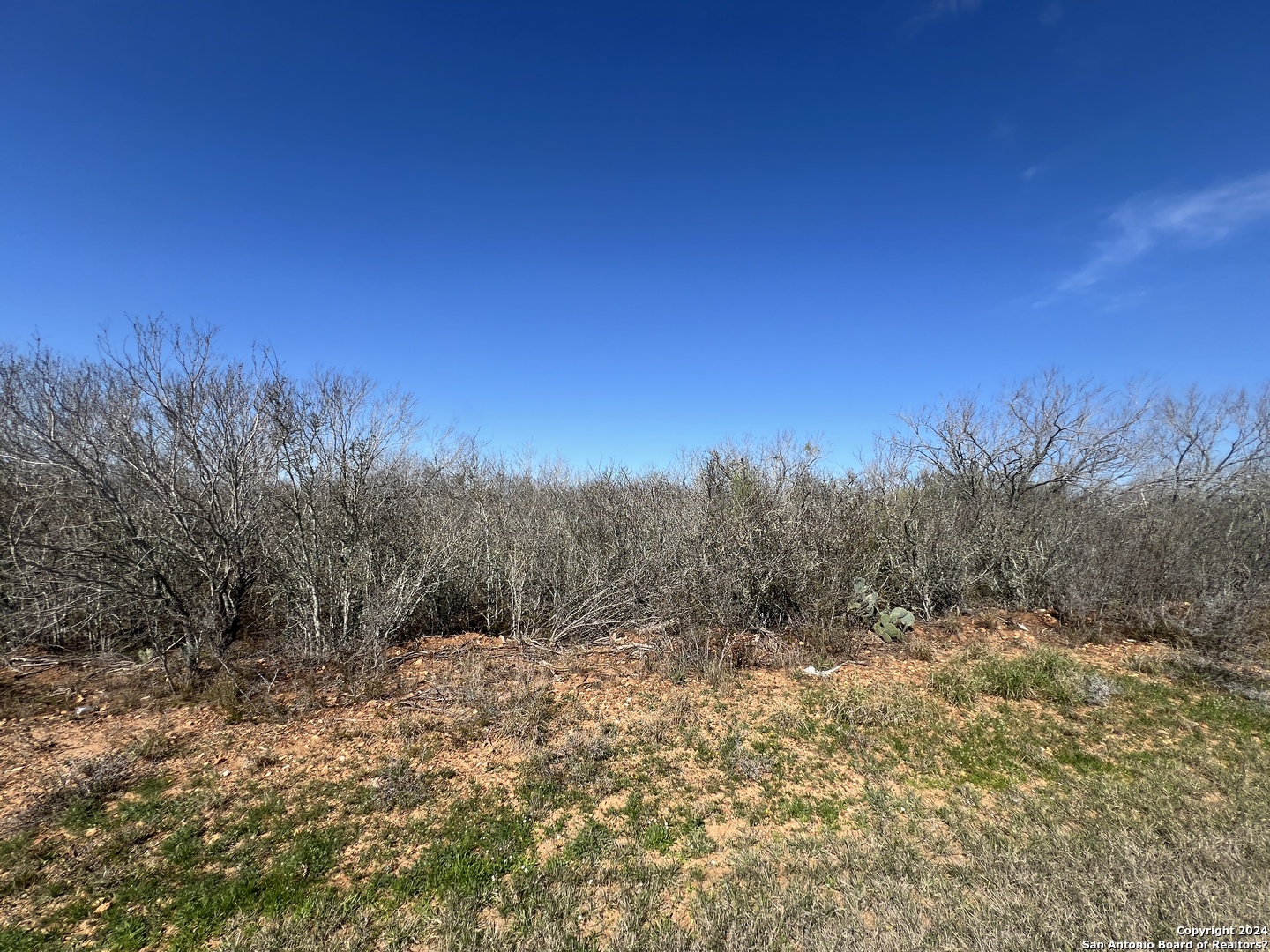 170 County Road 2667 , Devine, TX, 78016 | 1754001 | Realty Texas LLC