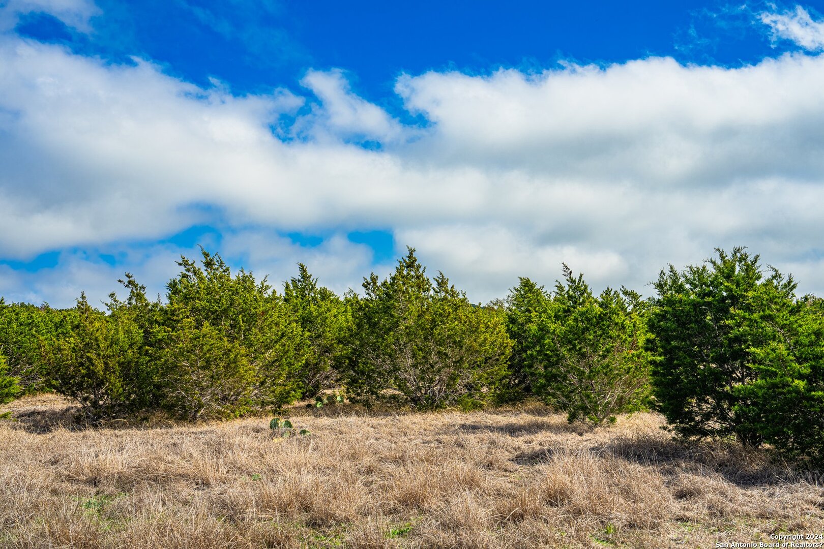 144 Tablerock Ridge Dr , Camp Verde, TX, 78010 | 1754254 | Realty Texas LLC
