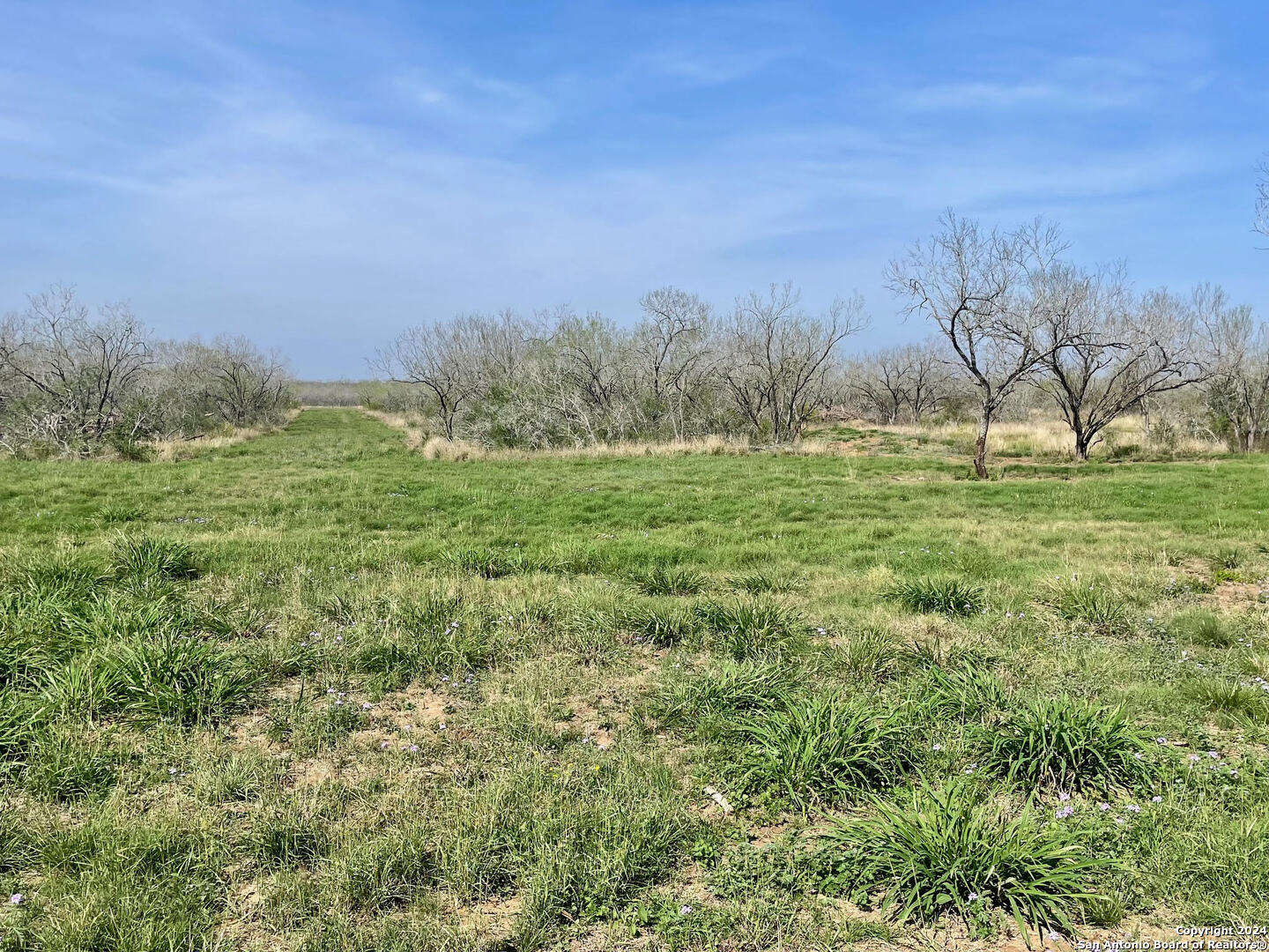 TRACT 8 FM 1332, Jourdanton, TX, 78026 | 1754359 | Realty Texas LLC