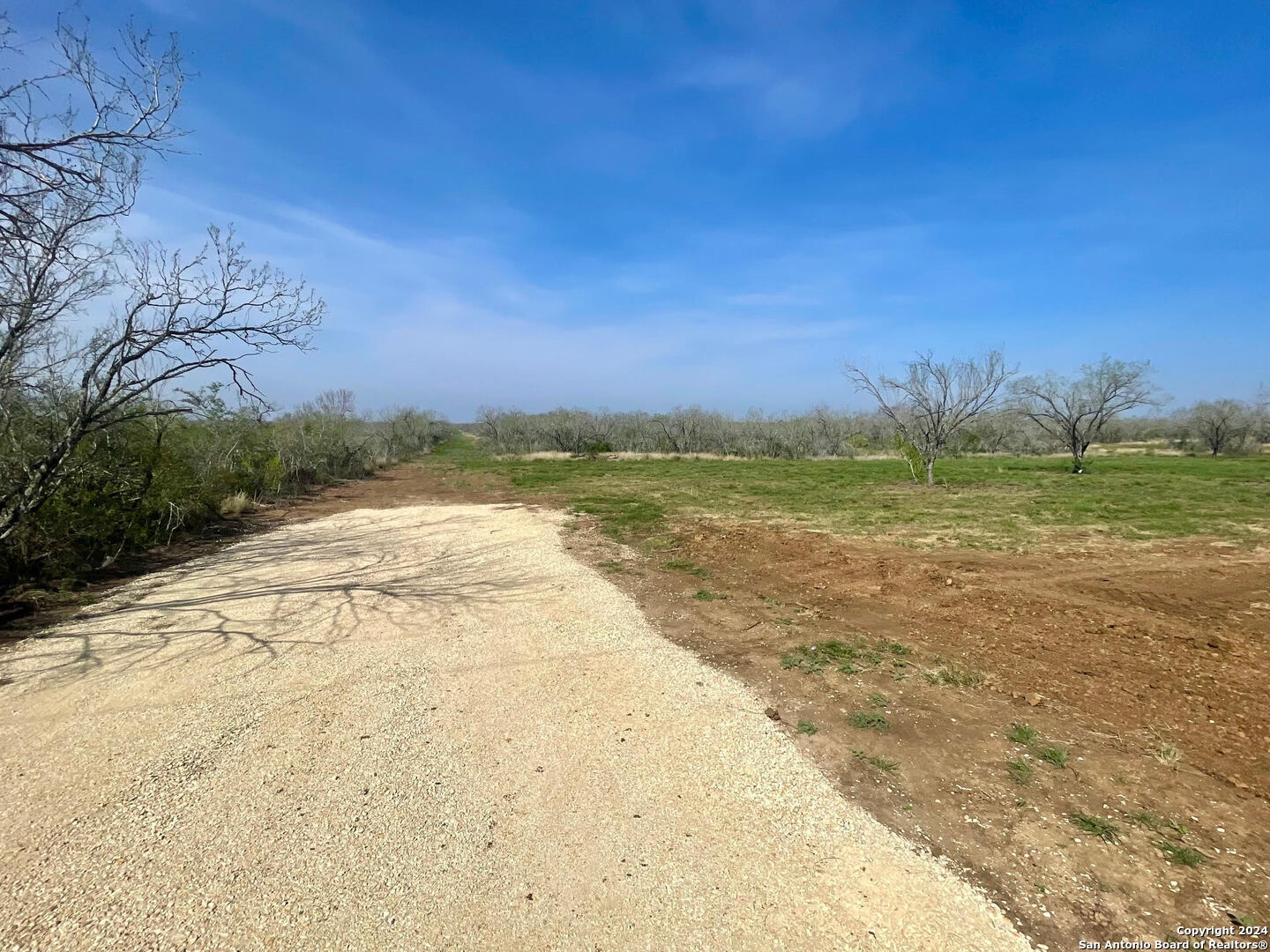 TRACT 8 FM 1332, Jourdanton, TX, 78026 | 1754359 | Realty Texas LLC