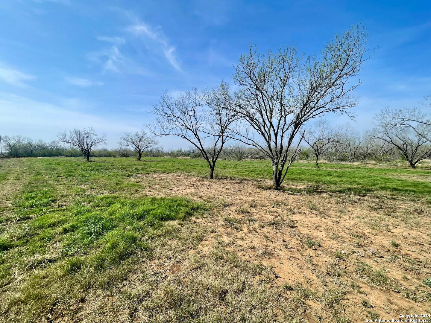 TRACT 8 FM 1332, Jourdanton, TX, 78026 | 1754359 | Realty Texas LLC