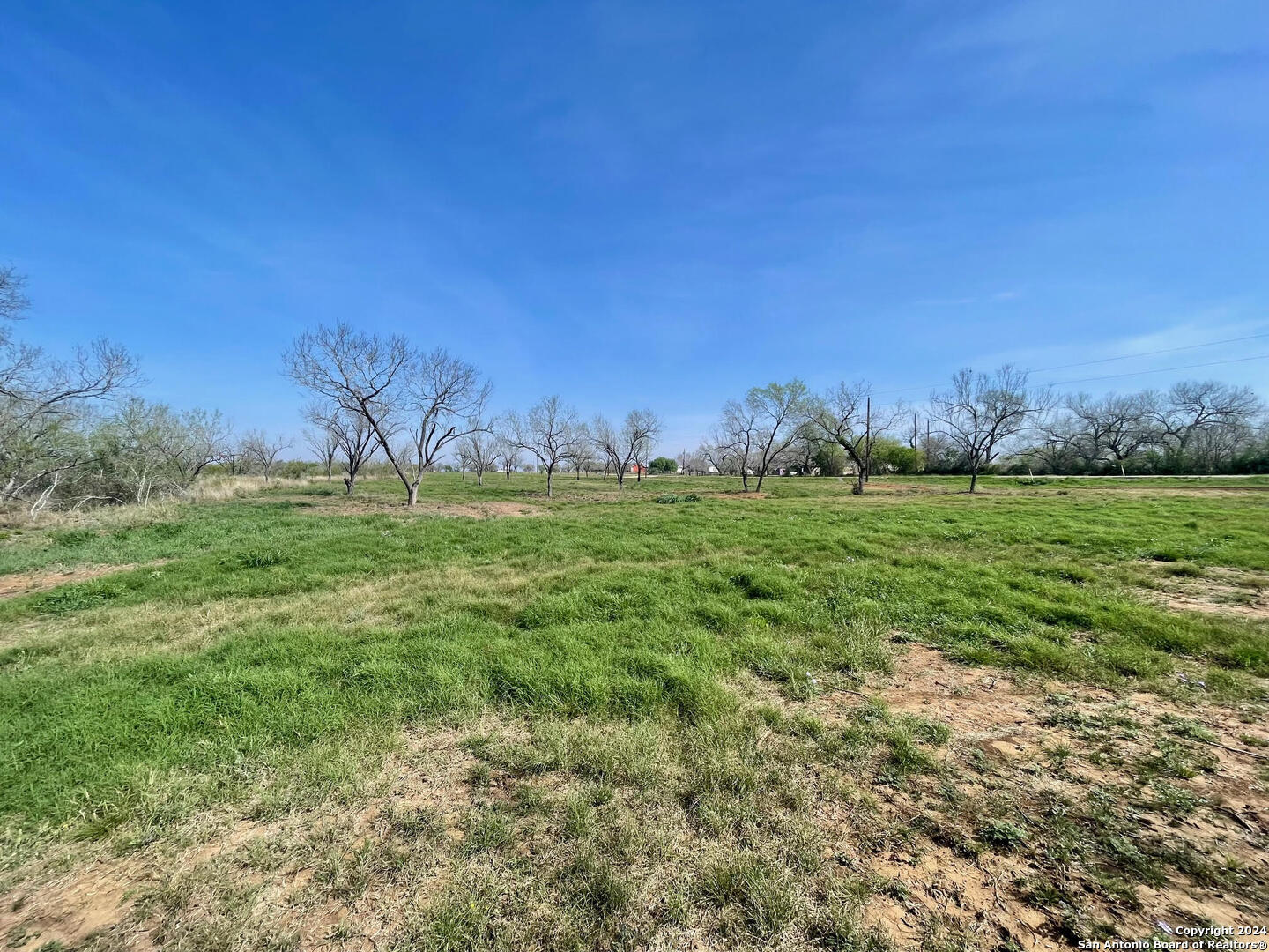 TRACT 8 FM 1332, Jourdanton, TX, 78026 | 1754359 | Realty Texas LLC