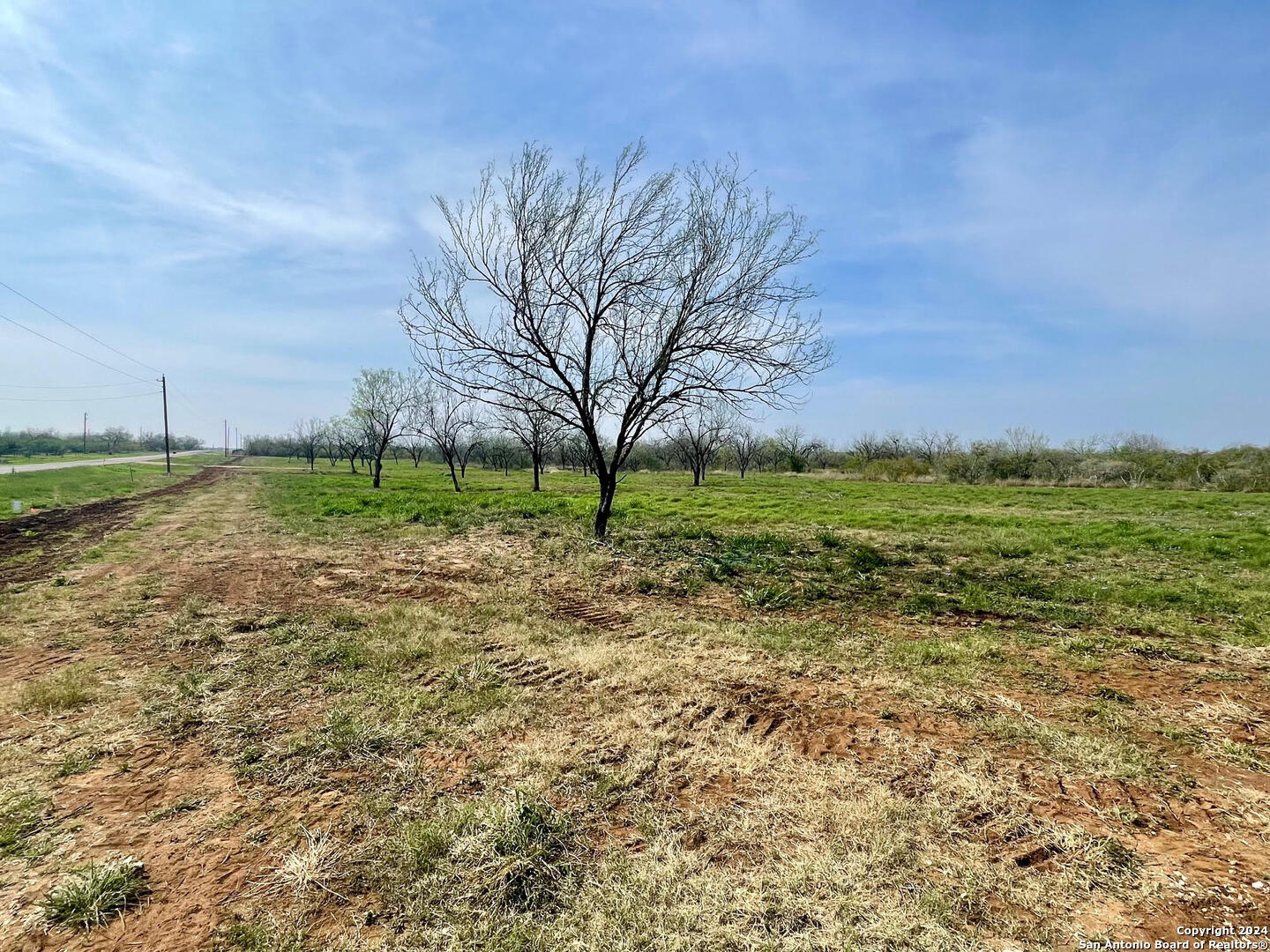 TRACT 8 FM 1332, Jourdanton, TX, 78026 | 1754359 | Realty Texas LLC
