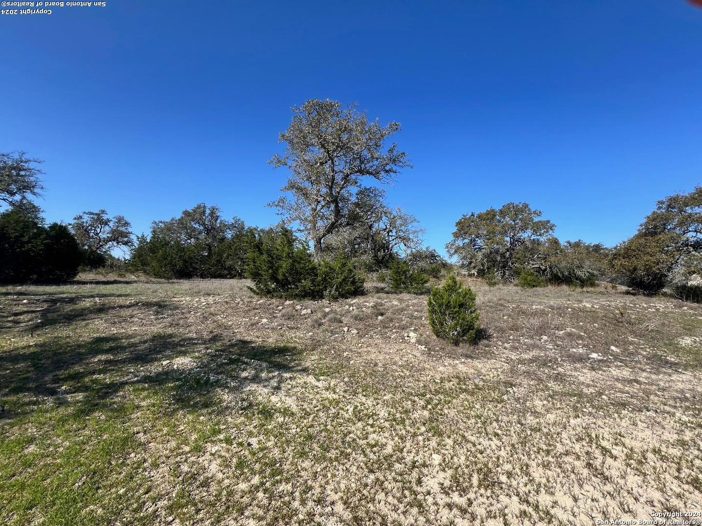 23463 N CRANES MILL, Spring Branch, TX, 78070 | 1755522 | Realty Texas LLC