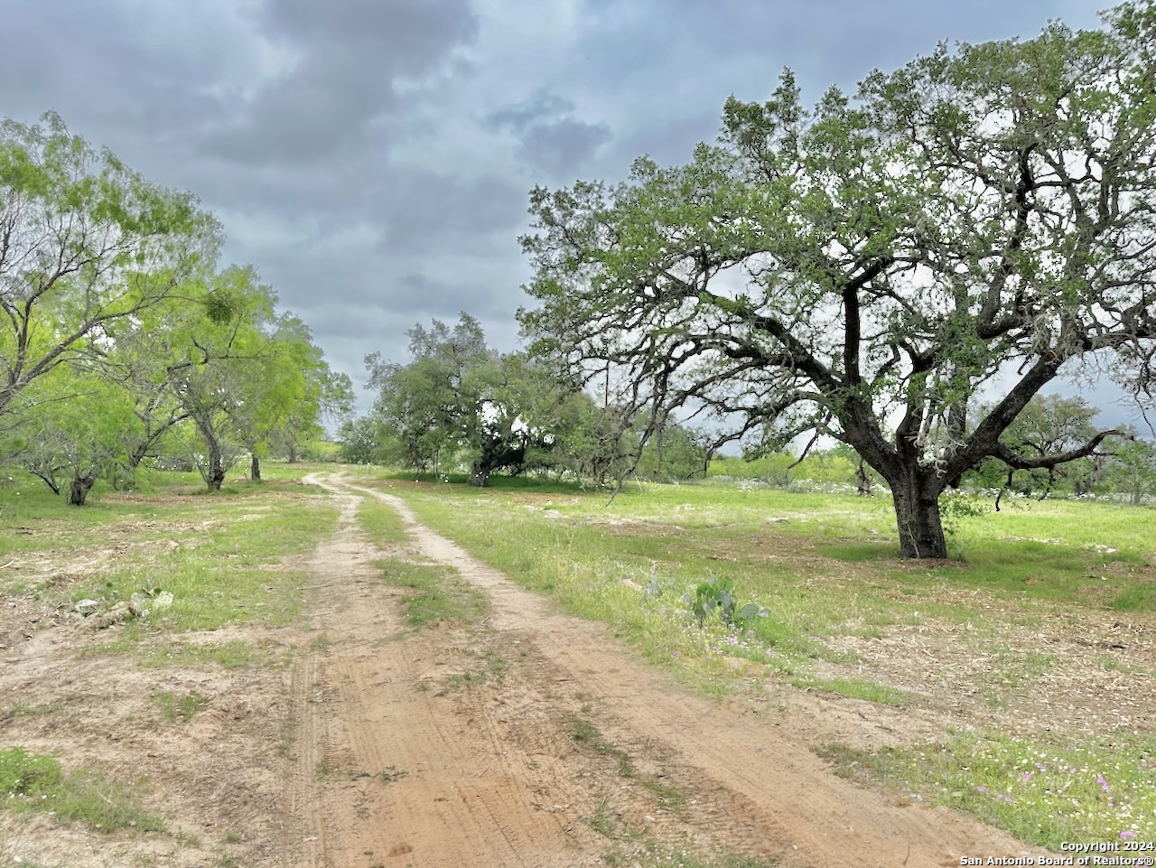 177.9 AC CR 7711, Devine, TX, 78016 | 1763717 | Realty Texas LLC