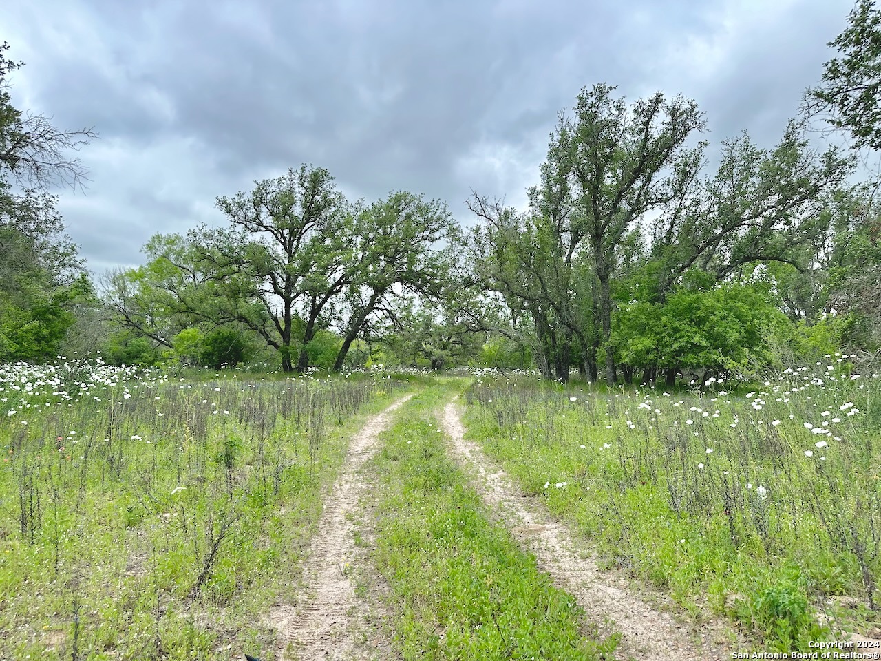 177.9 AC CR 7711, Devine, TX, 78016 | 1763717 | Realty Texas LLC