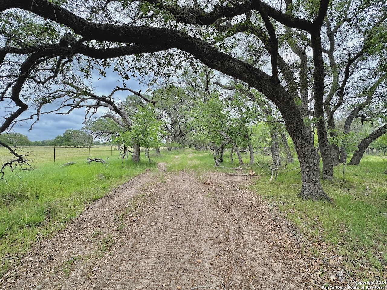177.9 AC CR 7711, Devine, TX, 78016 | 1763717 | Realty Texas LLC