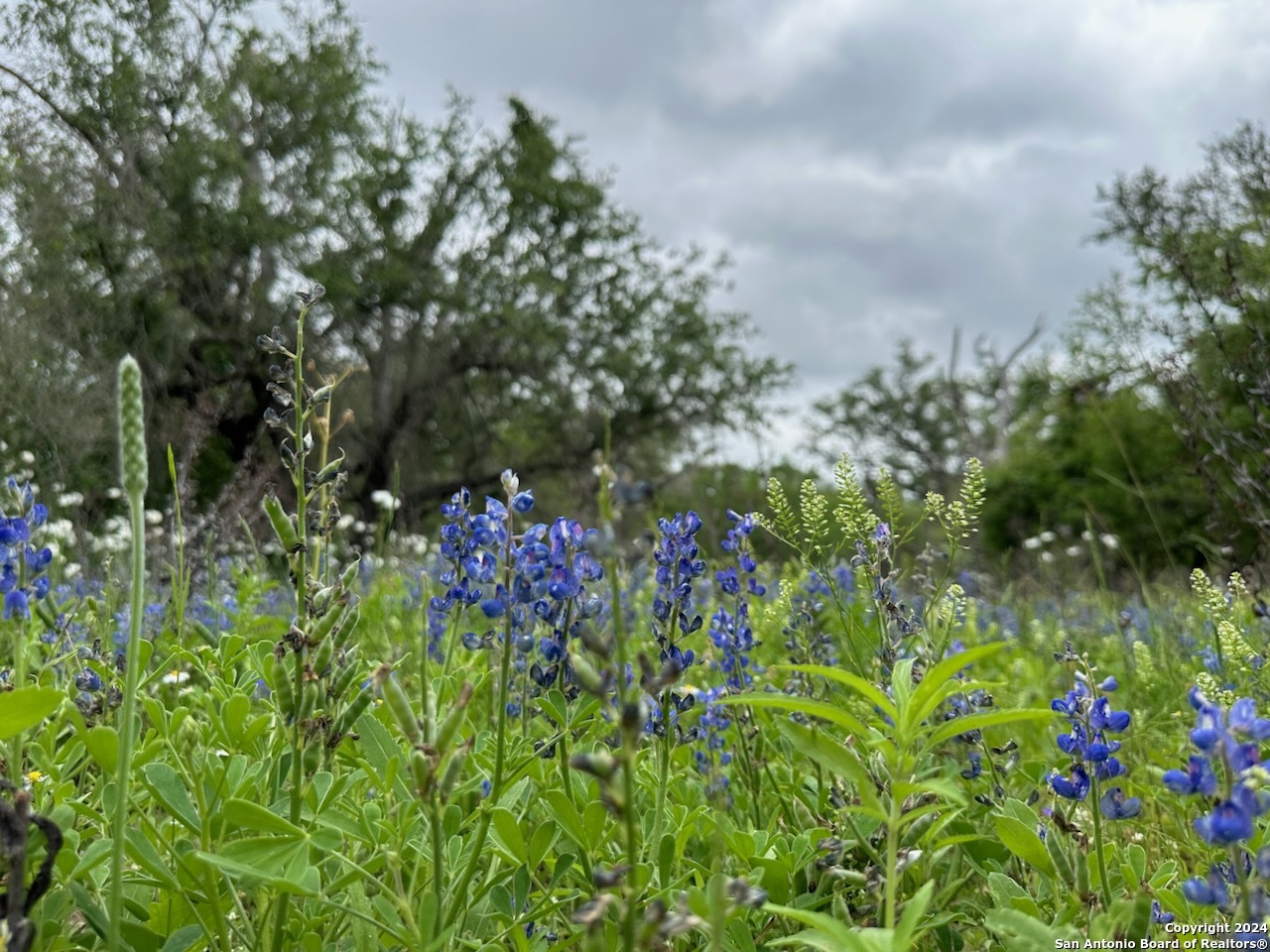177.9 AC CR 7711, Devine, TX, 78016 | 1763717 | Realty Texas LLC