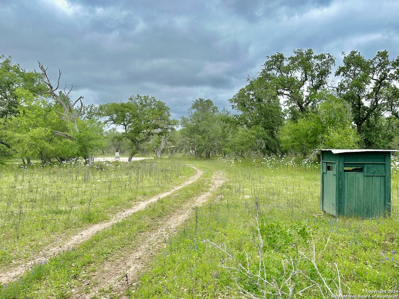 177.9 AC CR 7711, Devine, TX, 78016 | 1763717 | Realty Texas LLC