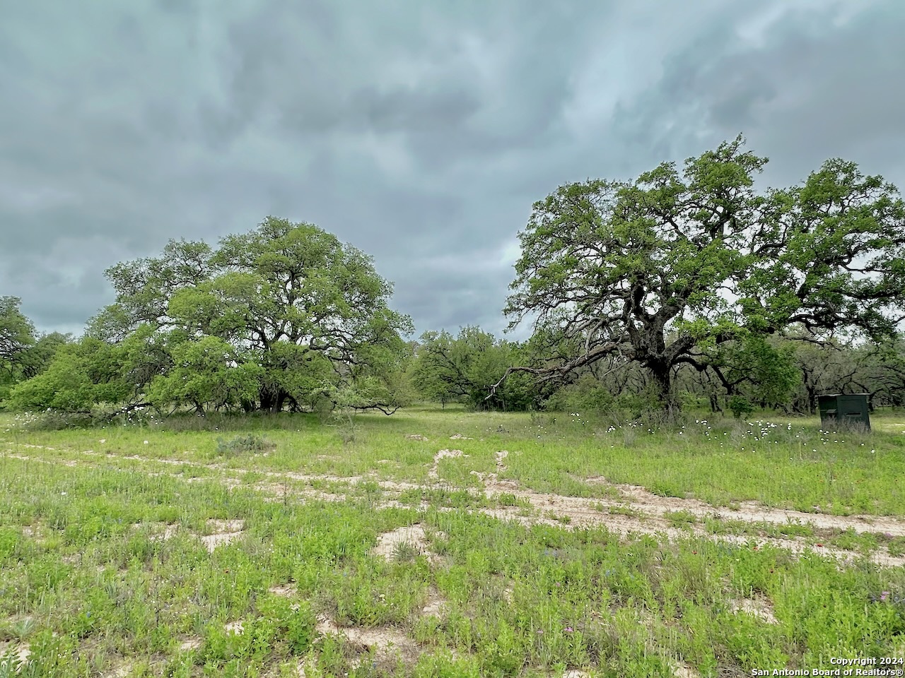 177.9 AC CR 7711, Devine, TX, 78016 | 1763717 | Realty Texas LLC