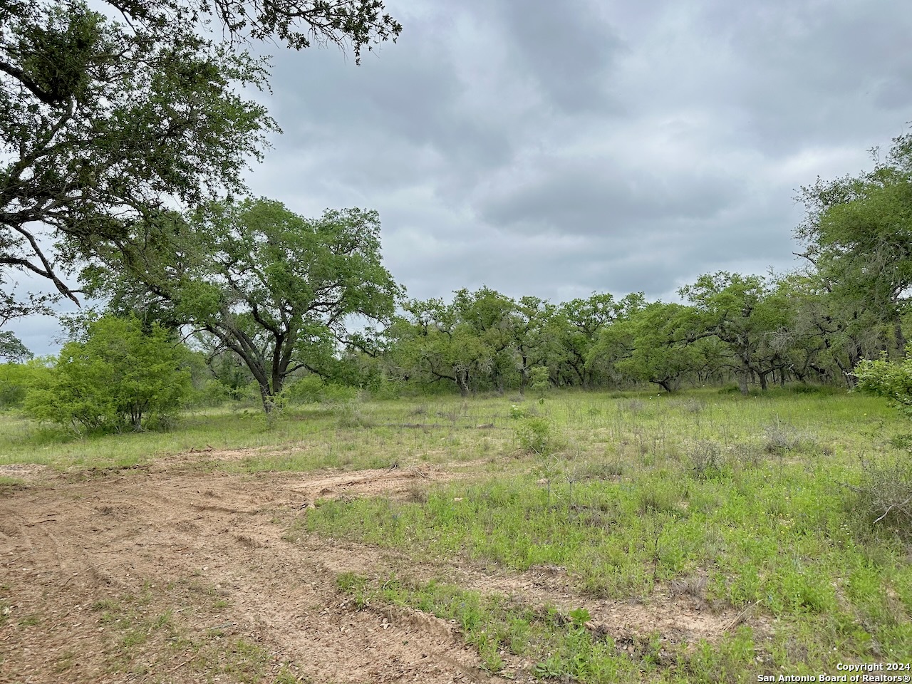 177.9 AC CR 7711, Devine, TX, 78016 | 1763717 | Realty Texas LLC