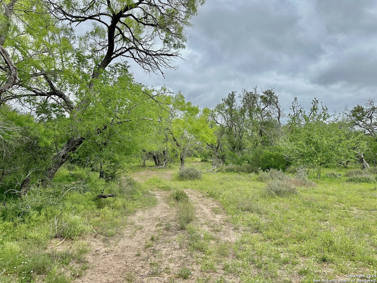 177.9 AC CR 7711, Devine, TX, 78016 | 1763717 | Realty Texas LLC