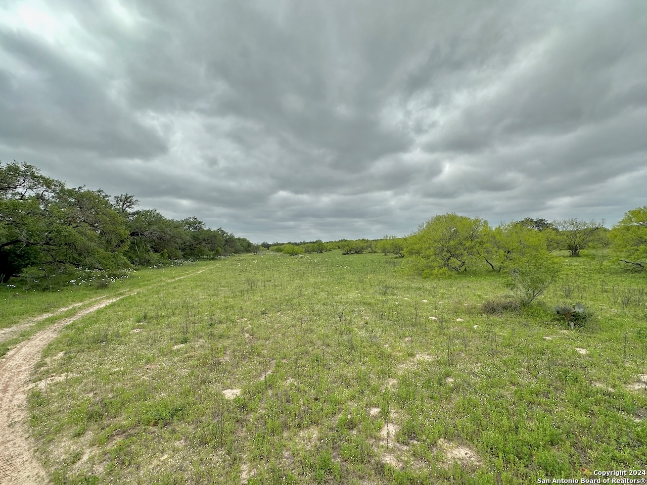 177.9 AC CR 7711, Devine, TX, 78016 | 1763717 | Realty Texas LLC