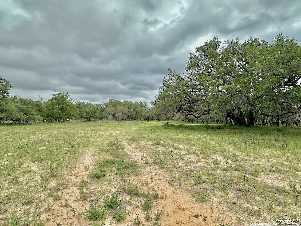 177.9 AC CR 7711, Devine, TX, 78016 | 1763717 | Realty Texas LLC