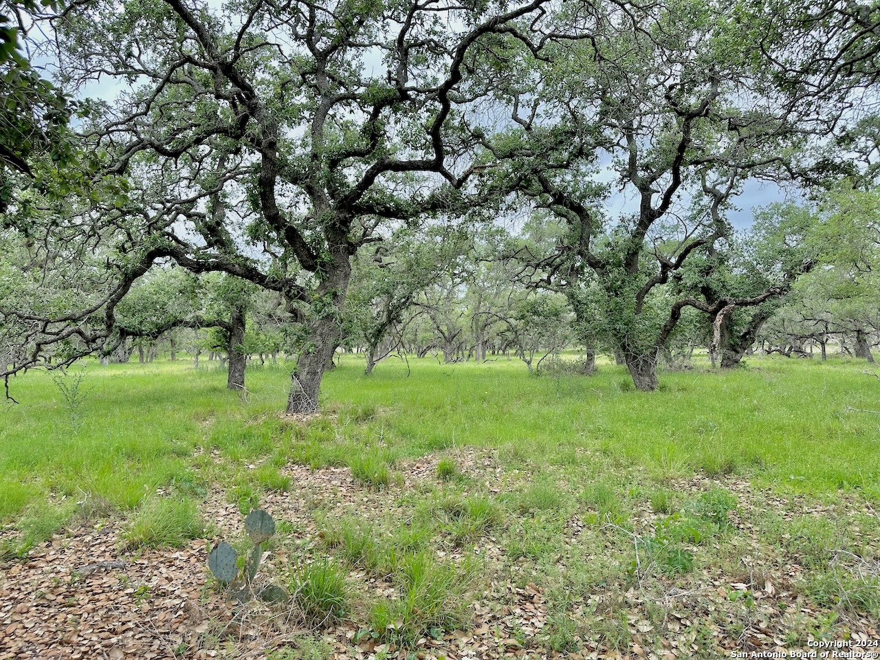 177.9 AC CR 7711, Devine, TX, 78016 | 1763717 | Realty Texas LLC
