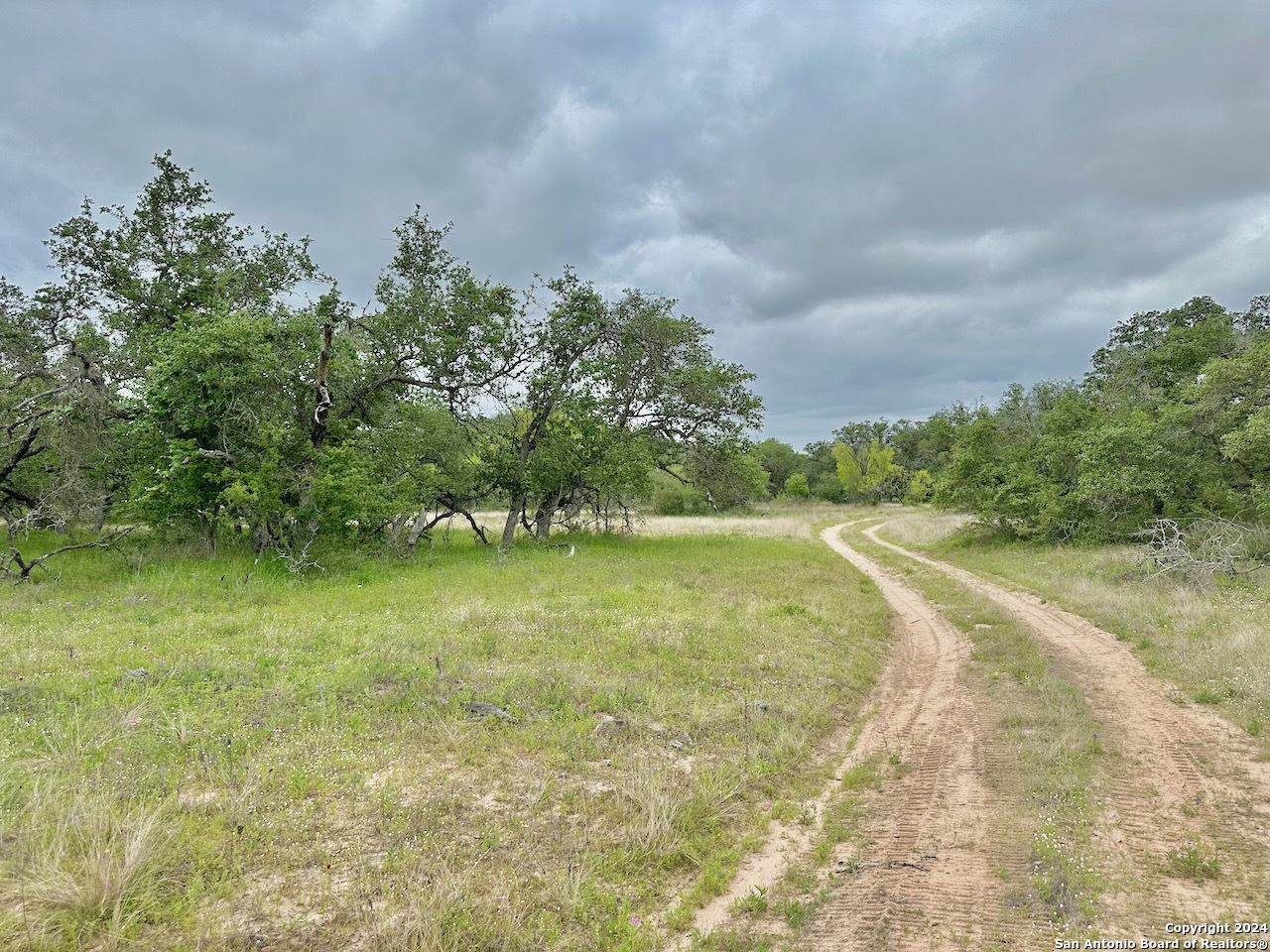 177.9 AC CR 7711, Devine, TX, 78016 | 1763717 | Realty Texas LLC