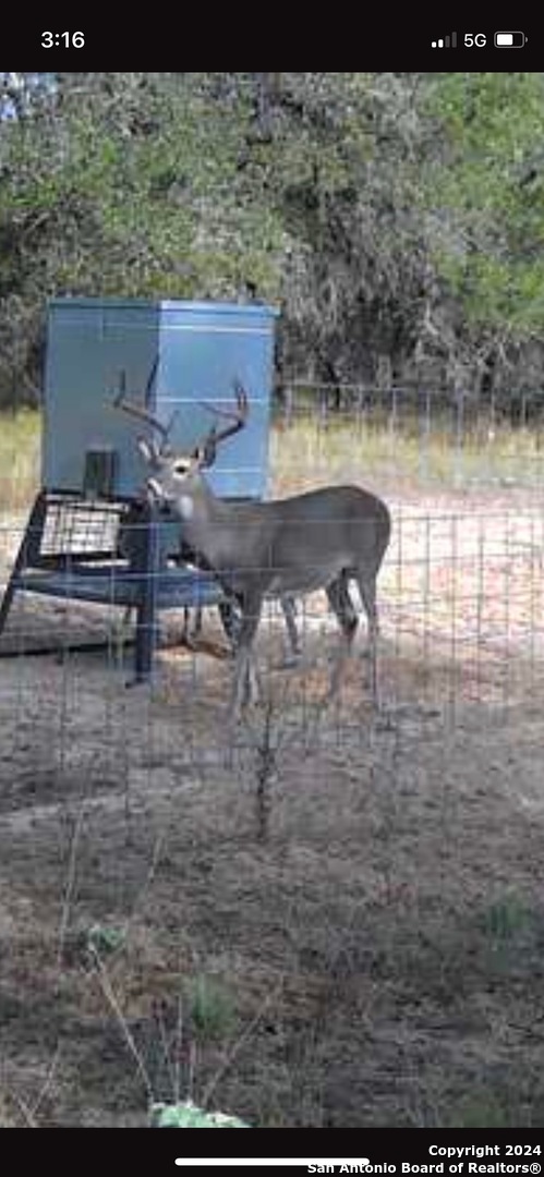 177.9 AC CR 7711, Devine, TX, 78016 | 1763717 | Realty Texas LLC