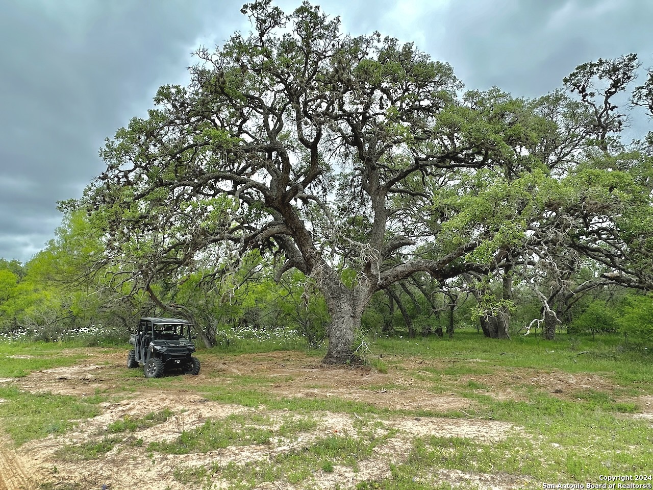 177.9 AC CR 7711, Devine, TX, 78016 | 1763717 | Realty Texas LLC