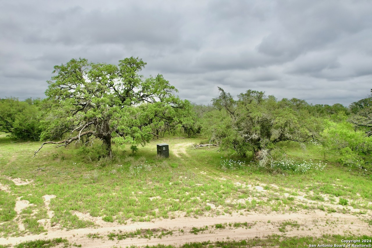 177.9 AC CR 7711, Devine, TX, 78016 | 1763717 | Realty Texas LLC