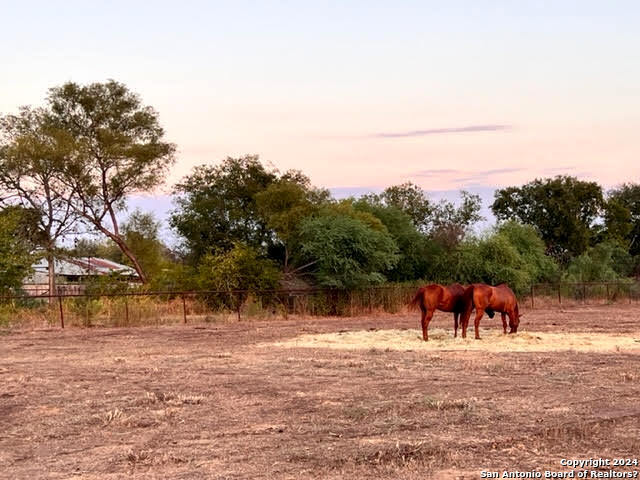 14486 Ladd Rd , Atascosa, TX, 78002-3418 | 1751070 | Realty Texas LLC