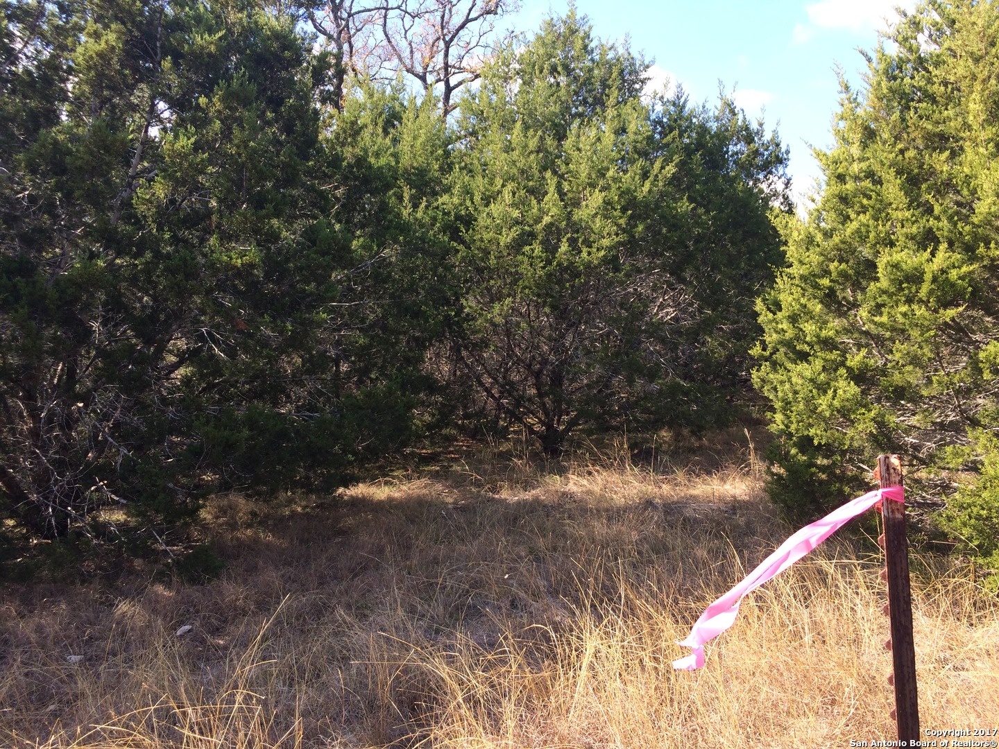 424 Lets Roll Dr , Fischer, TX, 78623 | 1281796 | Realty Texas LLC