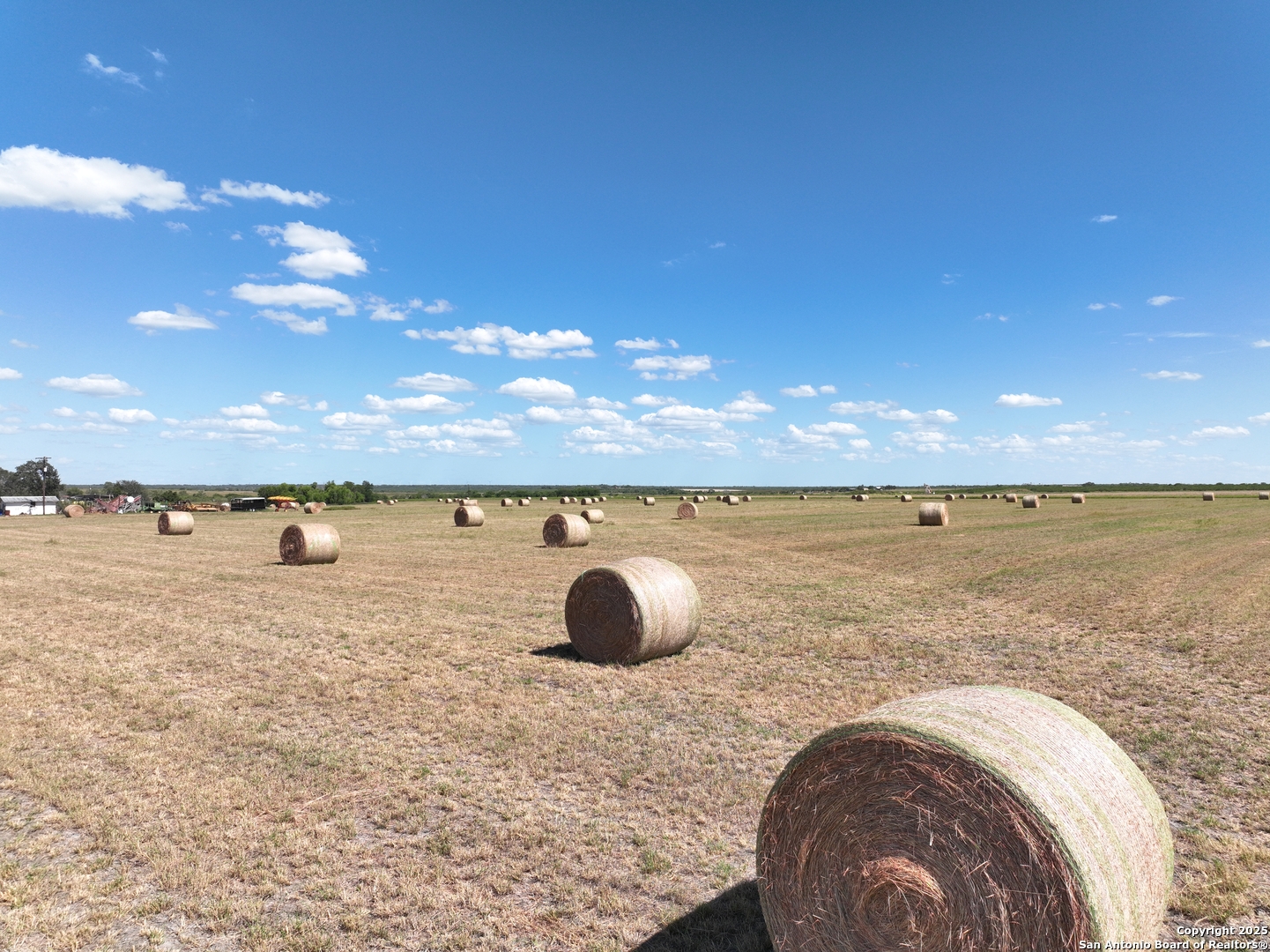 14420 FM 99, Karnes City, TX, 78118-6479 | 1769706 | Realty Texas LLC