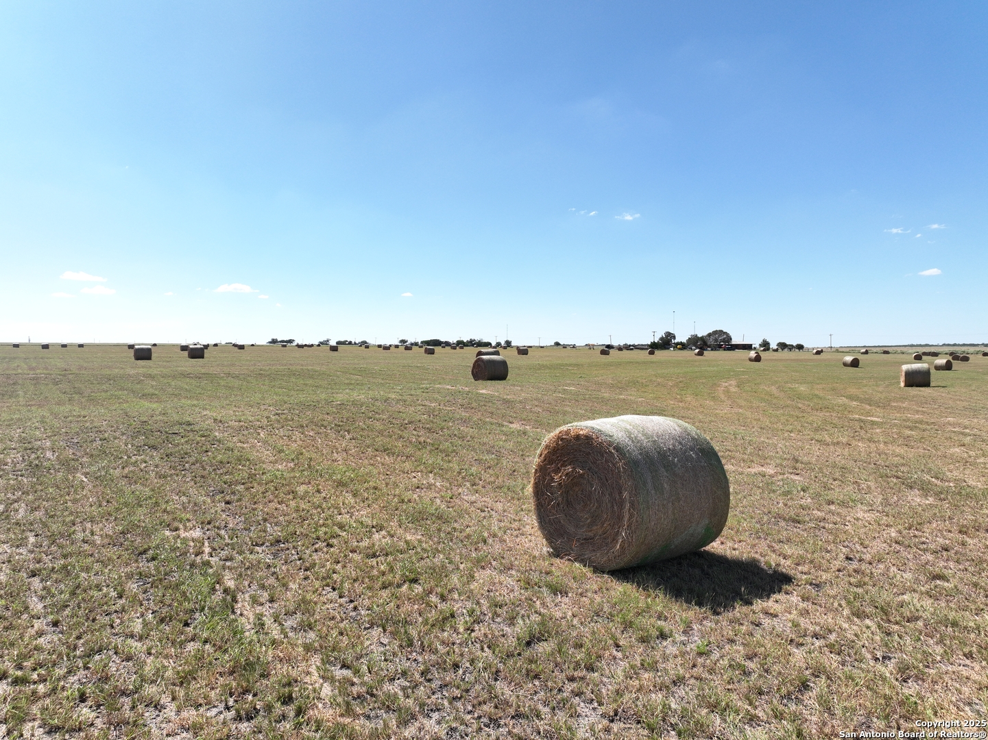 14420 FM 99, Karnes City, TX, 78118-6479 | 1769706 | Realty Texas LLC
