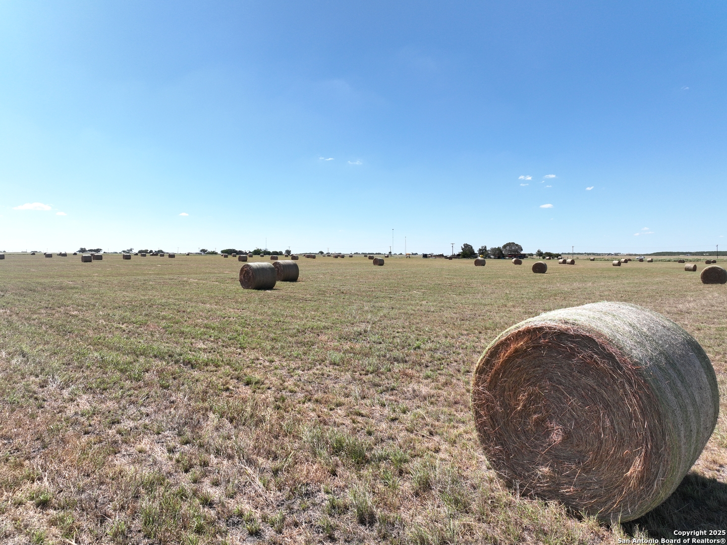 14420 FM 99, Karnes City, TX, 78118-6479 | 1769706 | Realty Texas LLC