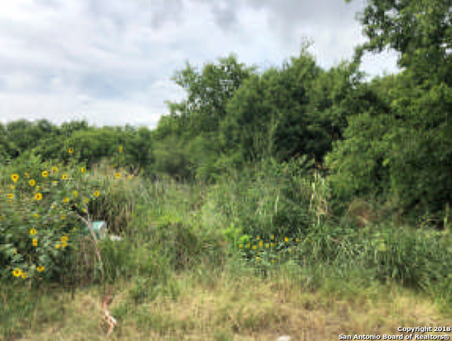 207 Rullman Ave , San Antonio, TX, 78208 | 1325127 | Realty Texas LLC