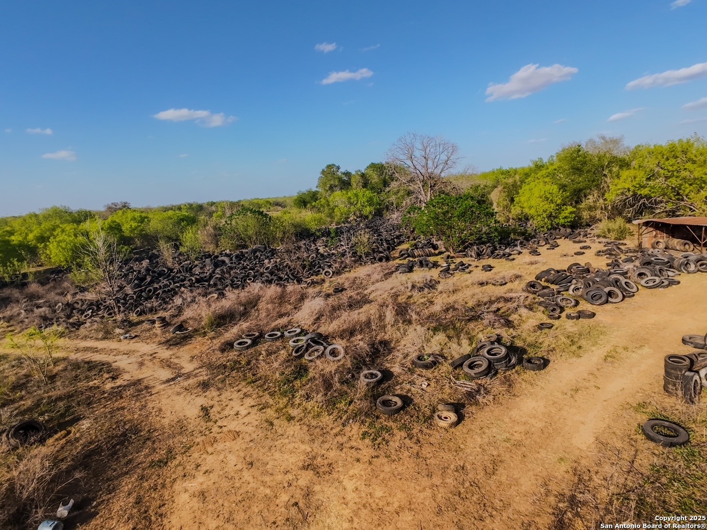 1715 S Loop 1604 E, SANANTONIO, TX, 78264 | 1773065 | Realty Texas LLC