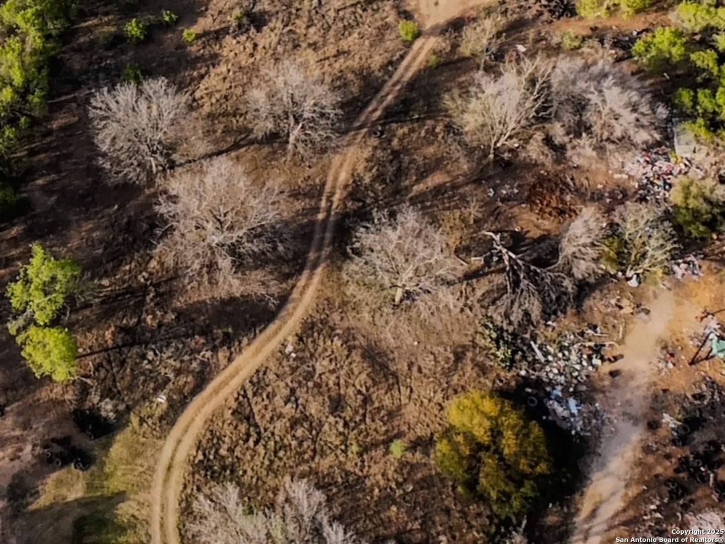 1715 S Loop 1604 E, SANANTONIO, TX, 78264 | 1773065 | Realty Texas LLC