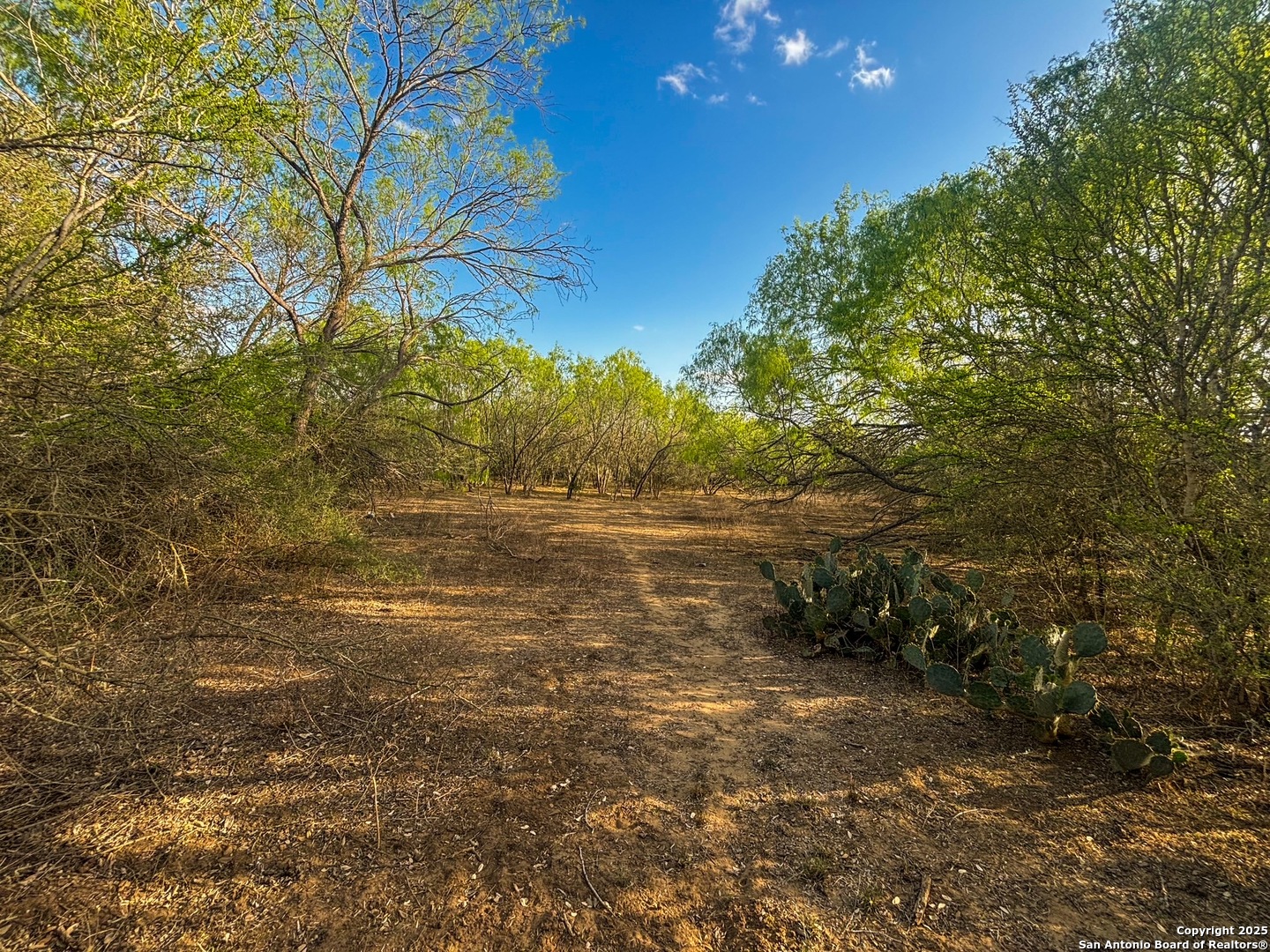 1715 S Loop 1604 E, SANANTONIO, TX, 78264 | 1773065 | Realty Texas LLC