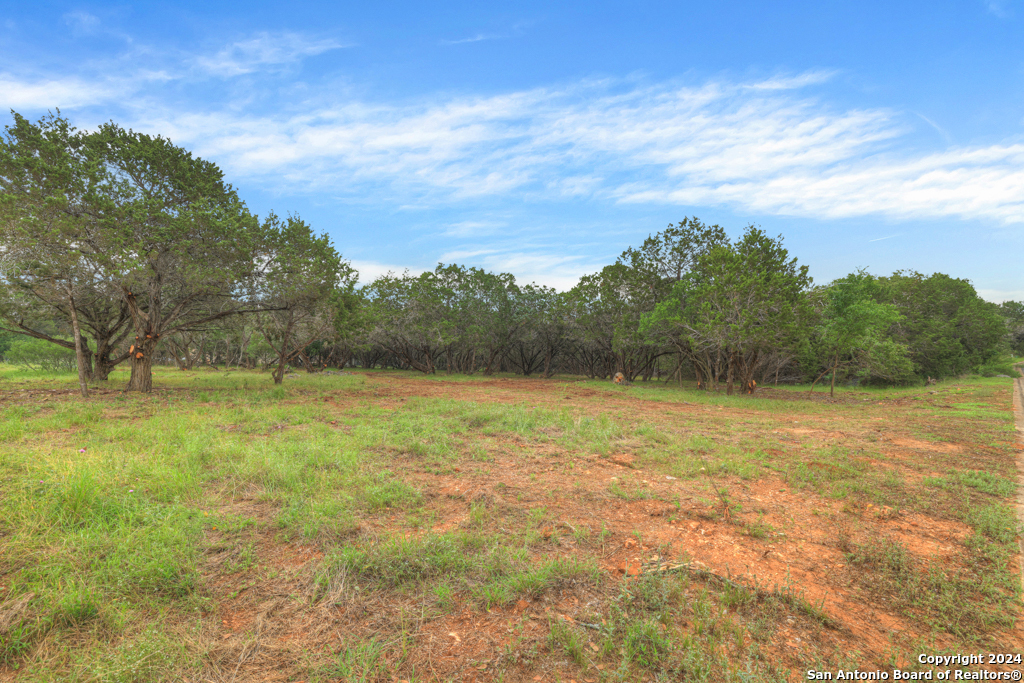 10402 Rinder Farm Court , New Braunfels, TX, 78132 | 1774942 | Realty Texas LLC