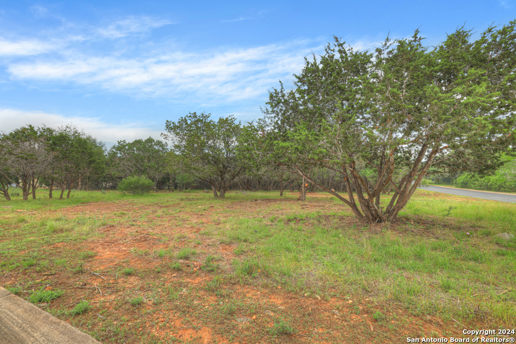 10402 Rinder Farm Court , New Braunfels, TX, 78132 | 1774942 | Realty Texas LLC