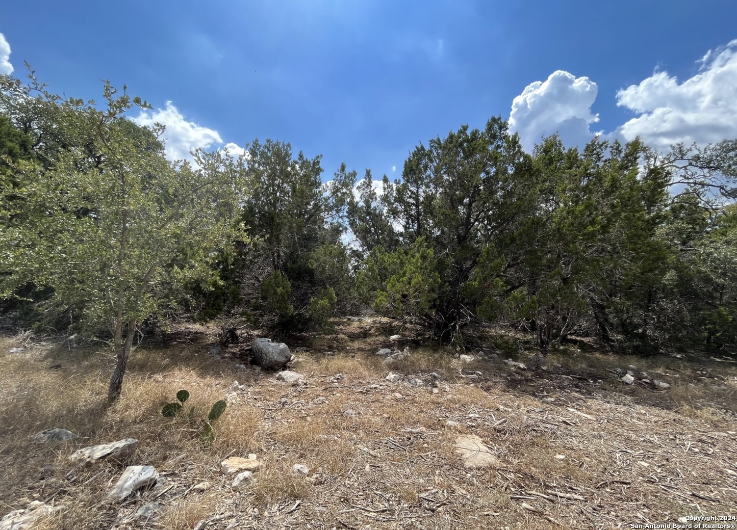 1359 Trailhead , New Braunfels, TX, 78132 | 1775189 | Realty Texas LLC