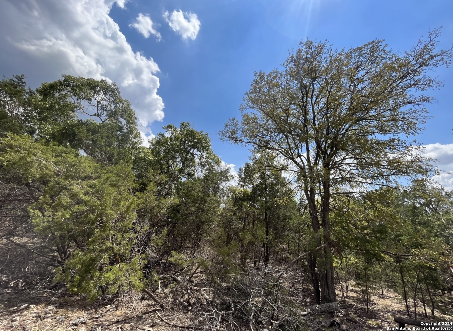 1359 Trailhead , New Braunfels, TX, 78132 | 1775189 | Realty Texas LLC