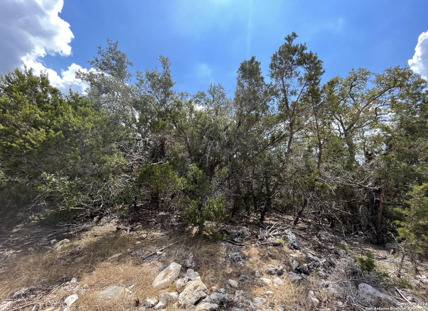 1359 Trailhead , New Braunfels, TX, 78132 | 1775189 | Realty Texas LLC