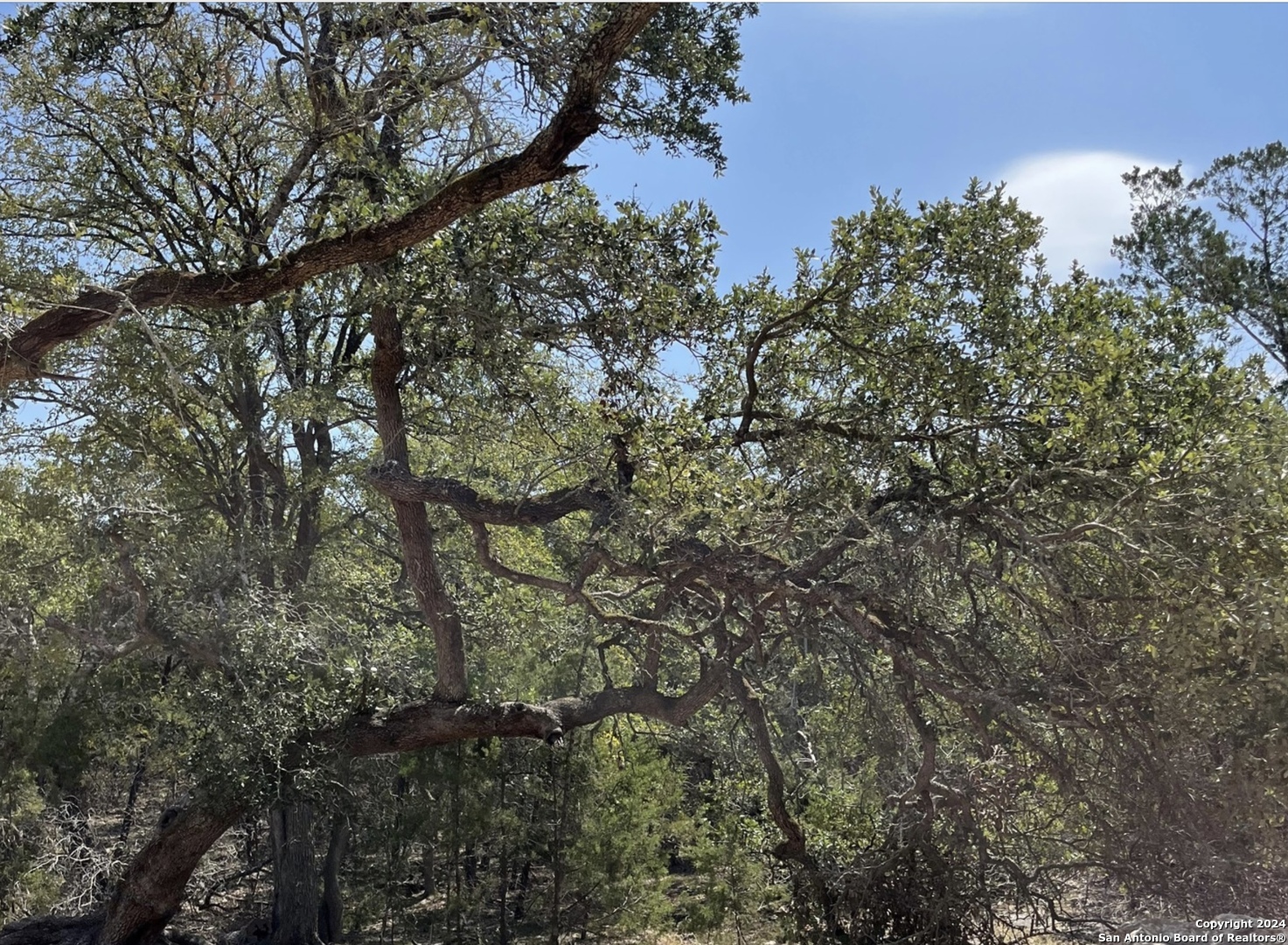 1359 Trailhead , New Braunfels, TX, 78132 | 1775189 | Realty Texas LLC